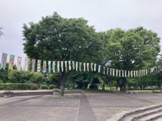 公園だより最新投稿写真