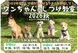 主催イベント:ワンちゃんのしつけ教室 2026年秋の画像