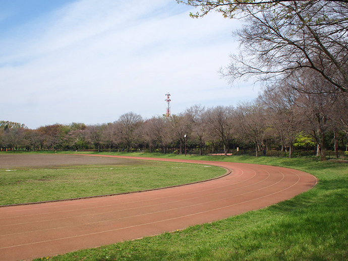 都立大泉中央公園の写真