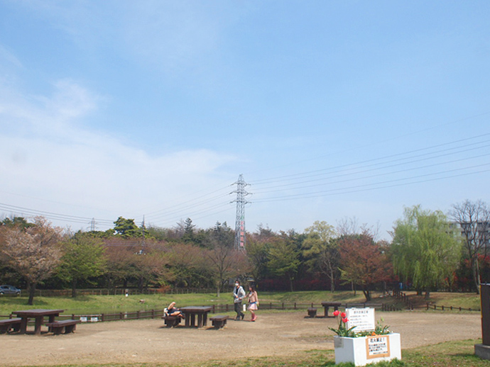 練馬区立大泉さくら運動公園の写真