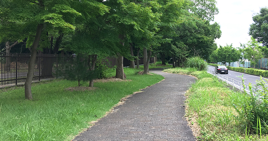 公園の写真2